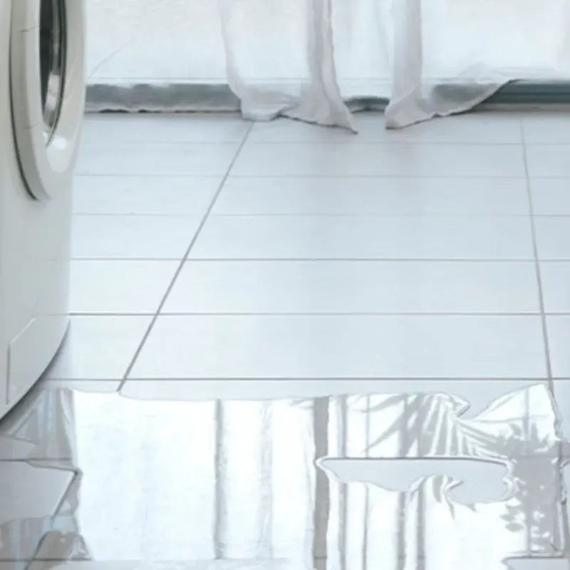 Appliance Leak Cleanup in Brazoria County, TX