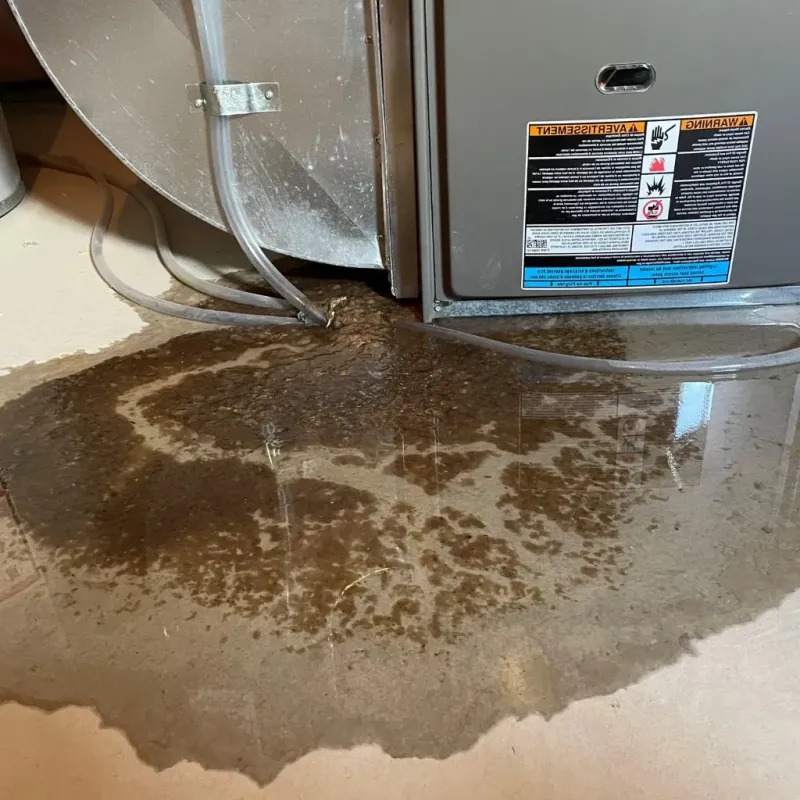 Pipe Burst and Leak Restoration in Brazoria County, TX