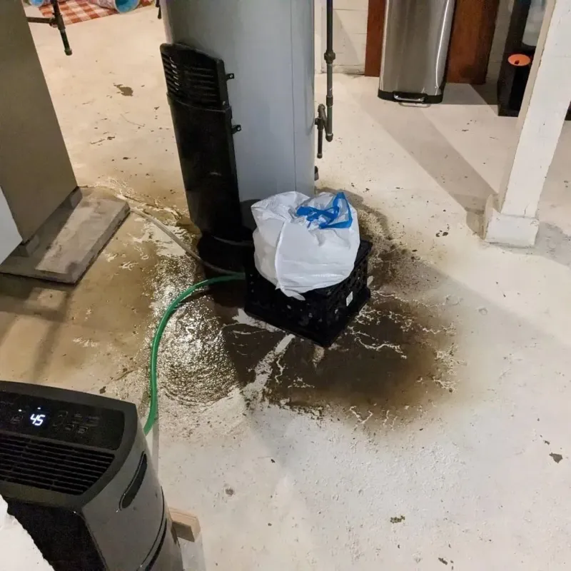 Sewage Backup Cleanup Service in Brazoria County, TX